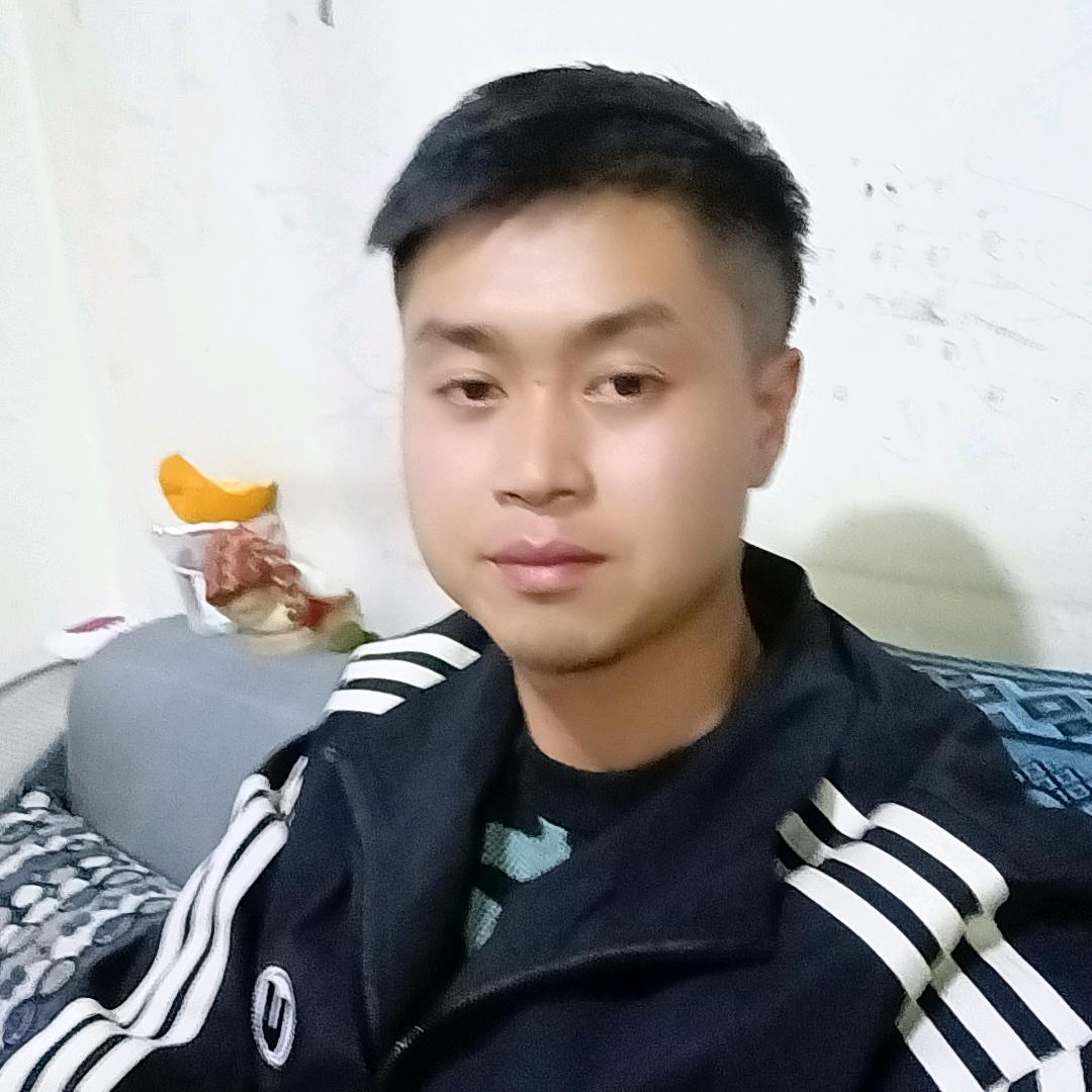 🍉打芽车车