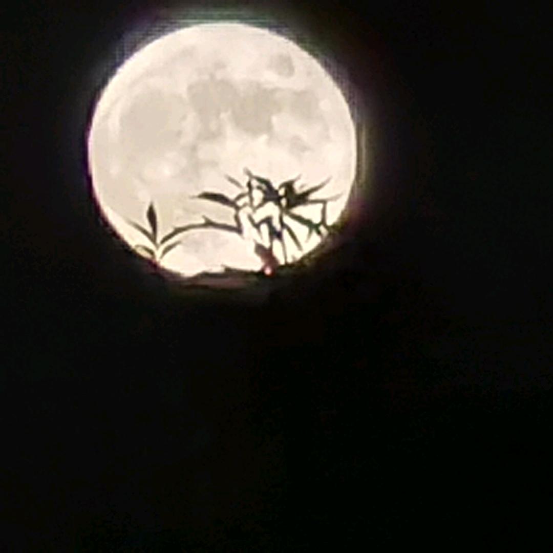 明月半倚深秋丶