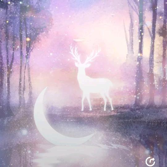 (ღ♡‿♡ღ)"✪浪荡✪ω✪野尞