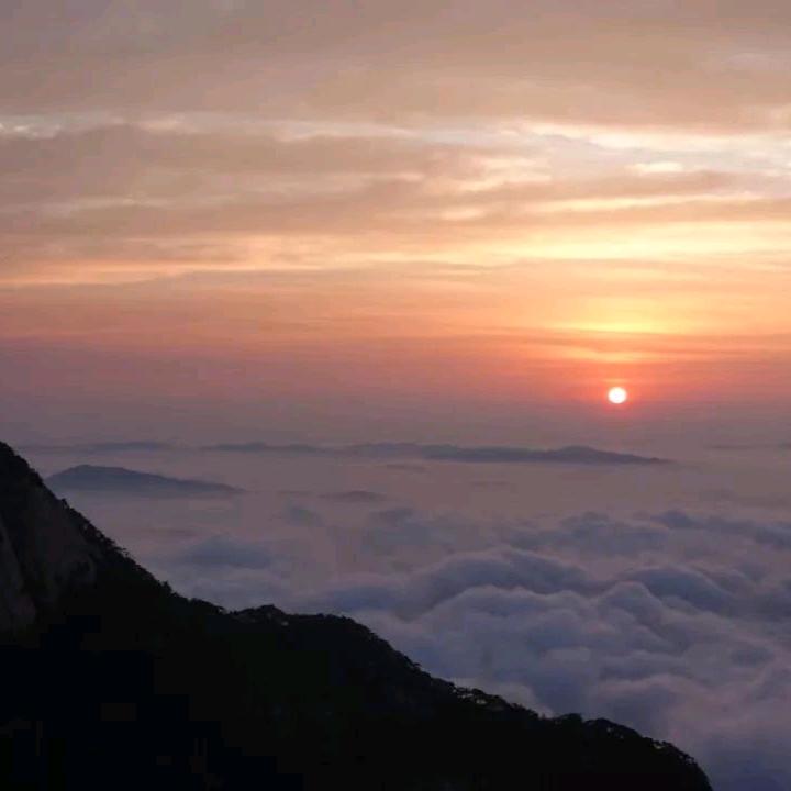 雏鹰