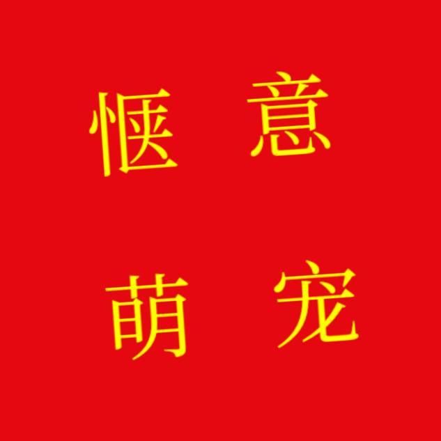 惬意萌宠