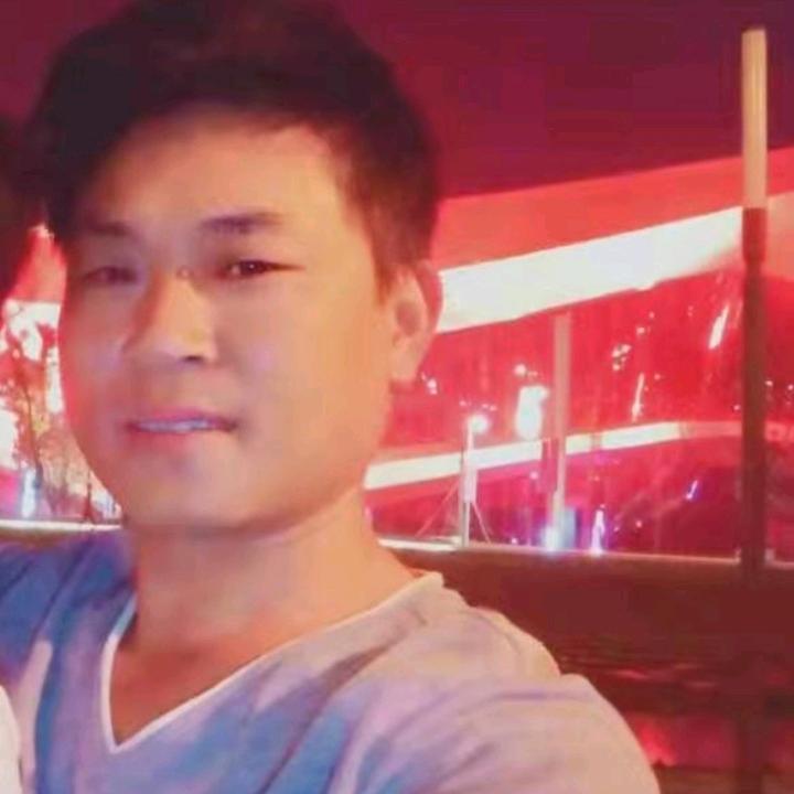 单身来去自由