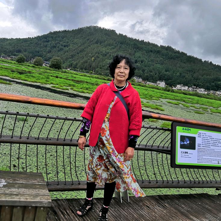 陶慧芬