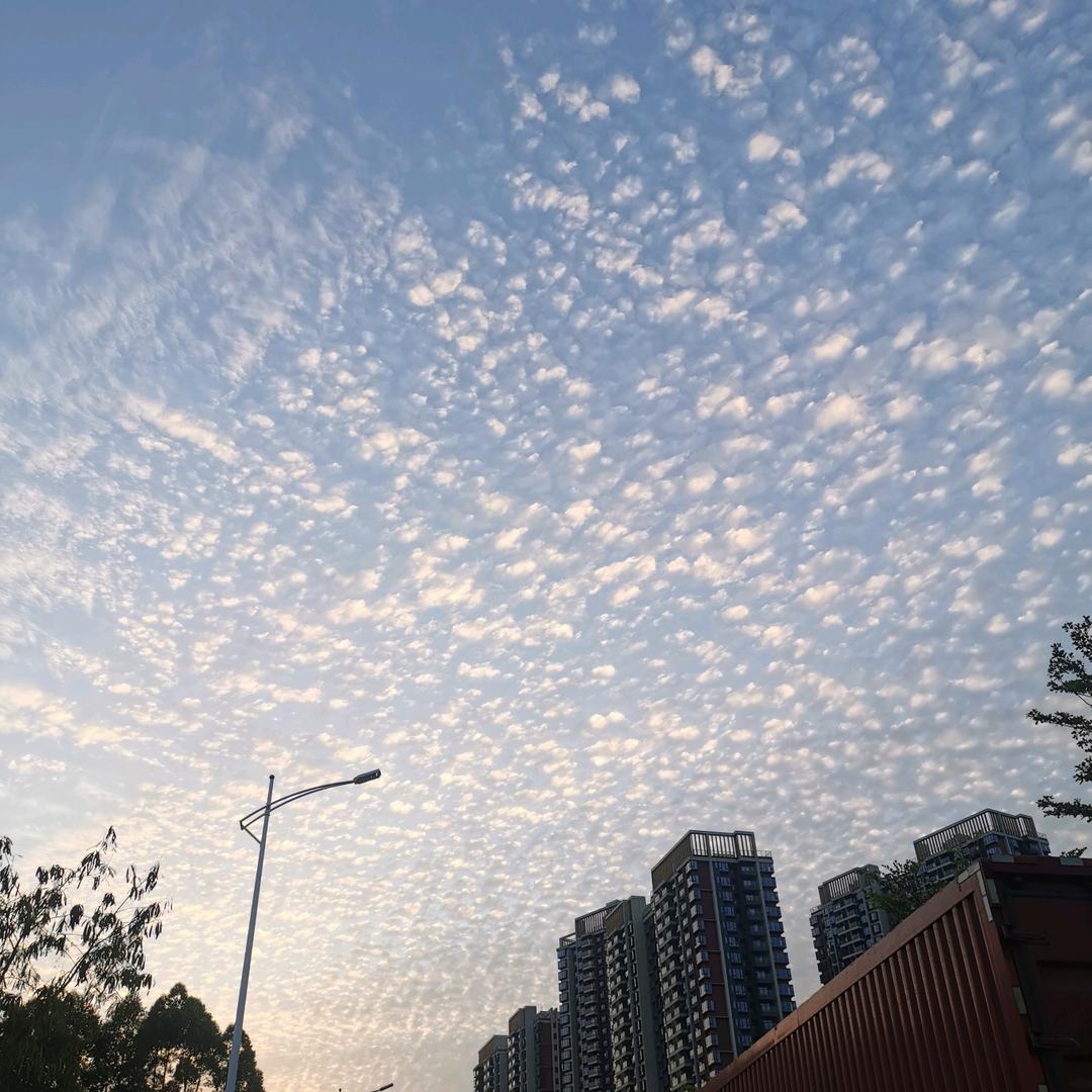 再见便是陌路人