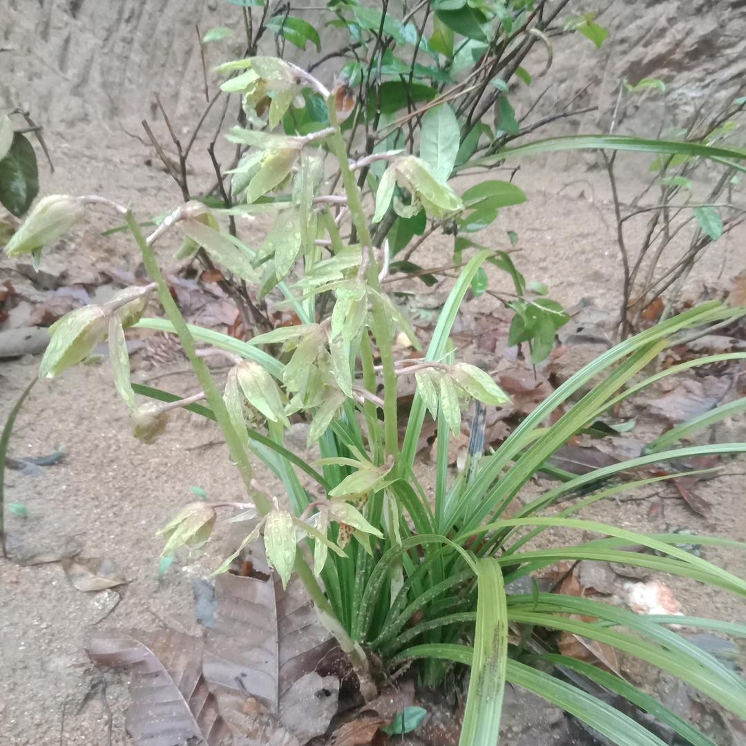 🐉搞钱★爺们🐉