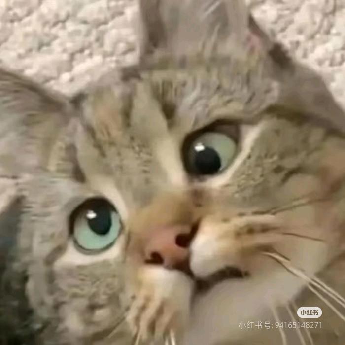 我叫778