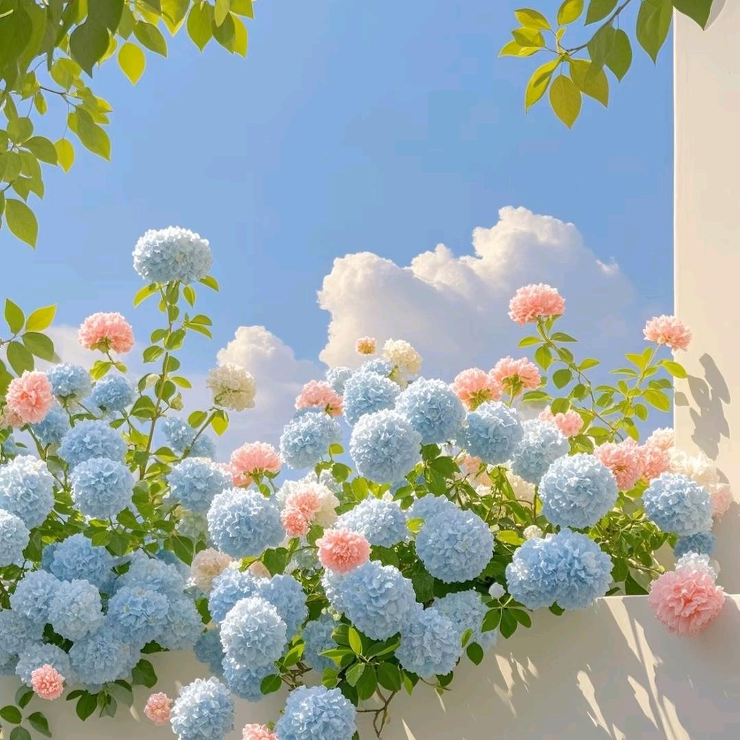 ࿔༎࿔小红🌺花᭨ᮩ໊ഒᩚ࿐