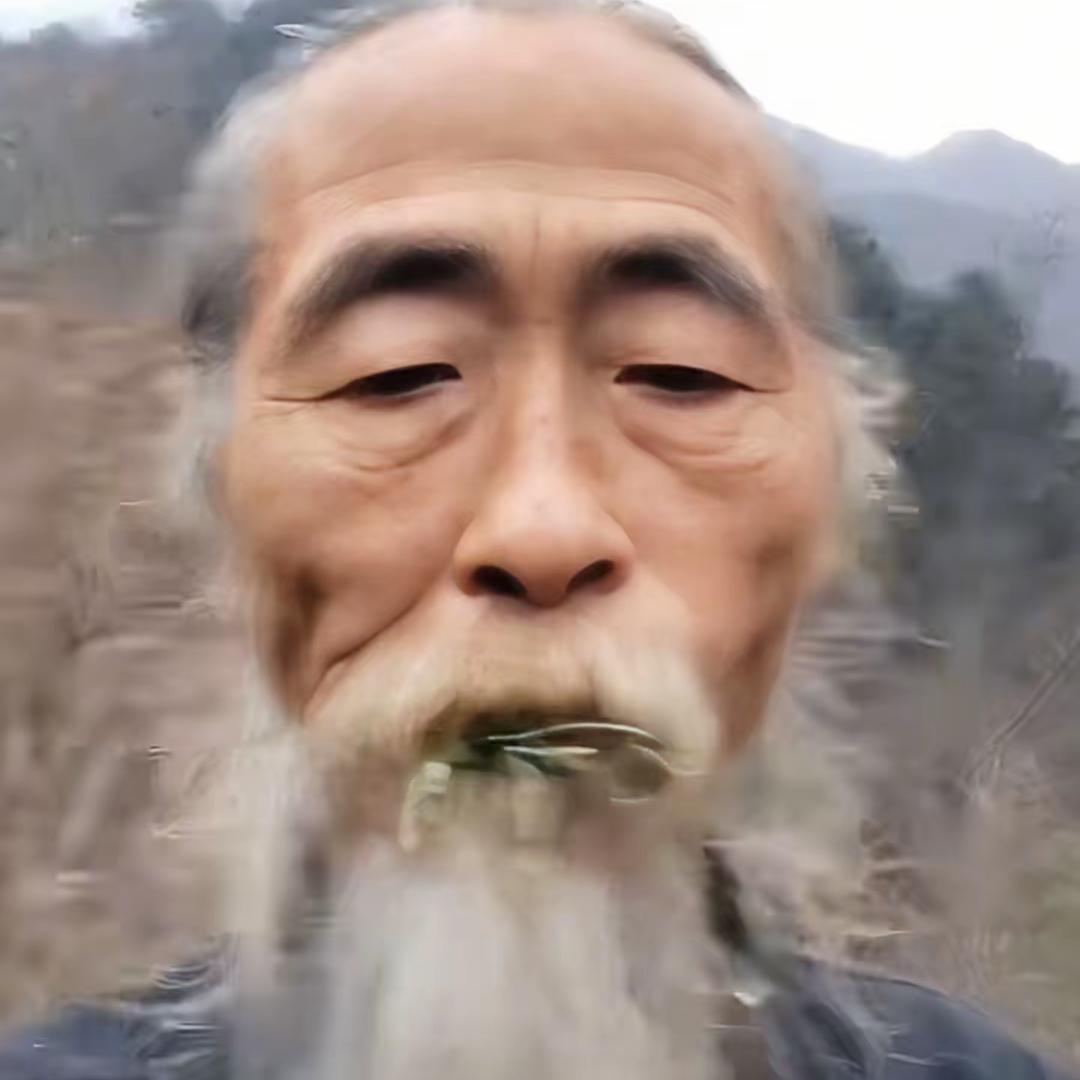 盼盼鱼头