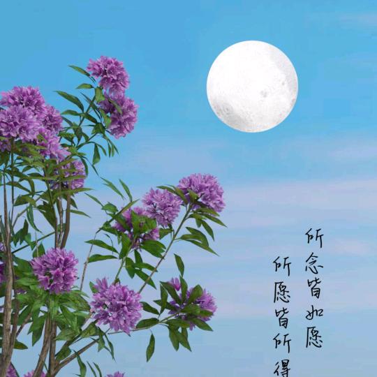 知足常乐