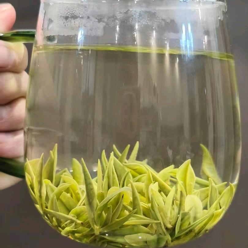 南太湖安吉白茶黄茶绿茶自产自销