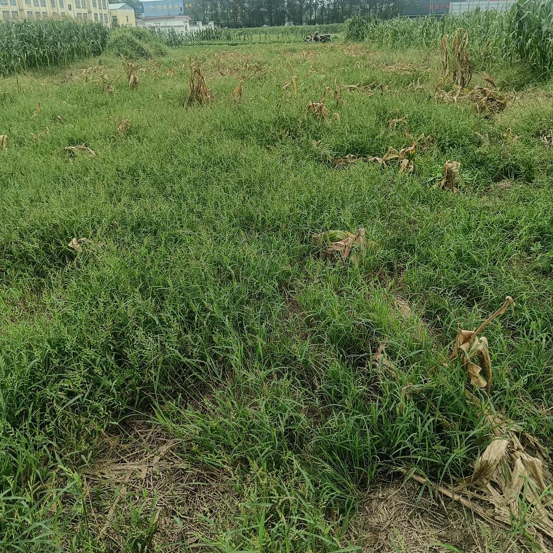 幸福快快乐