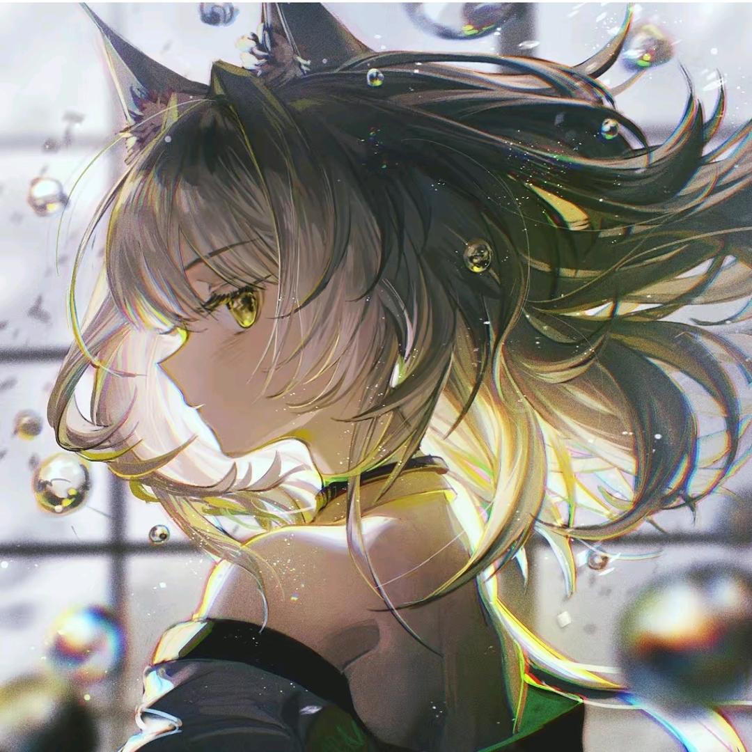 雷师傅a