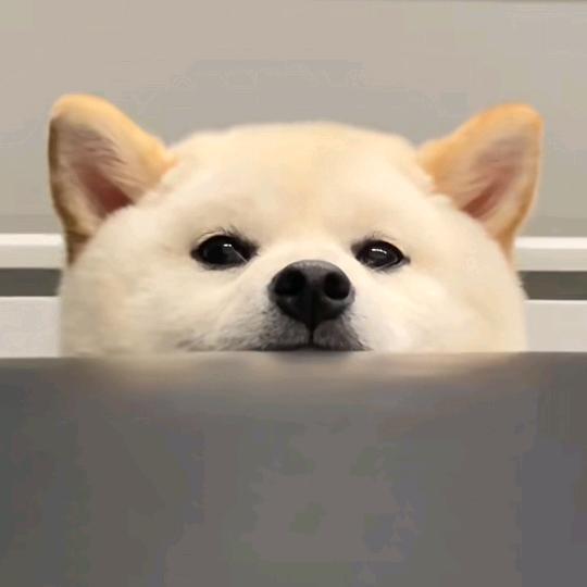 逗趣屋