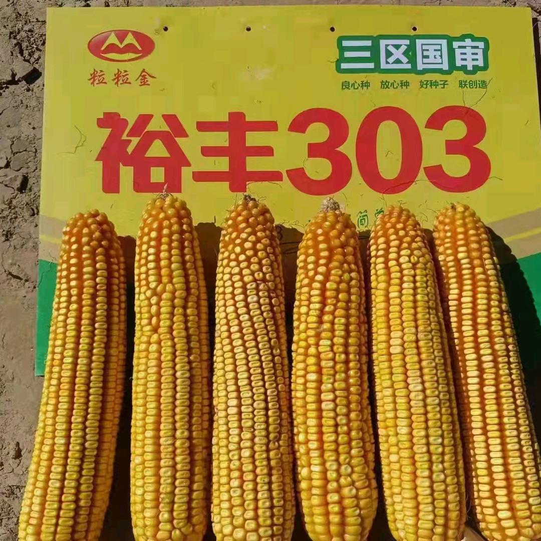 农资    瑞芳