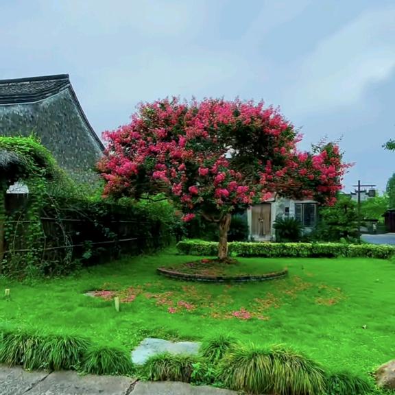 常州夏溪于川园艺