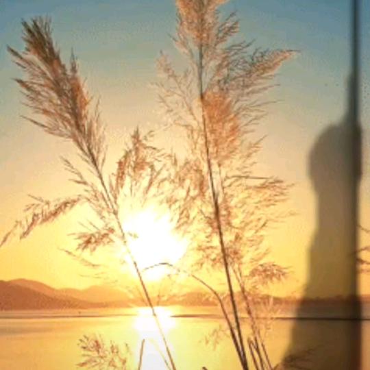 今夕何夕