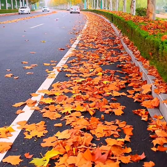 正能量影视🌻