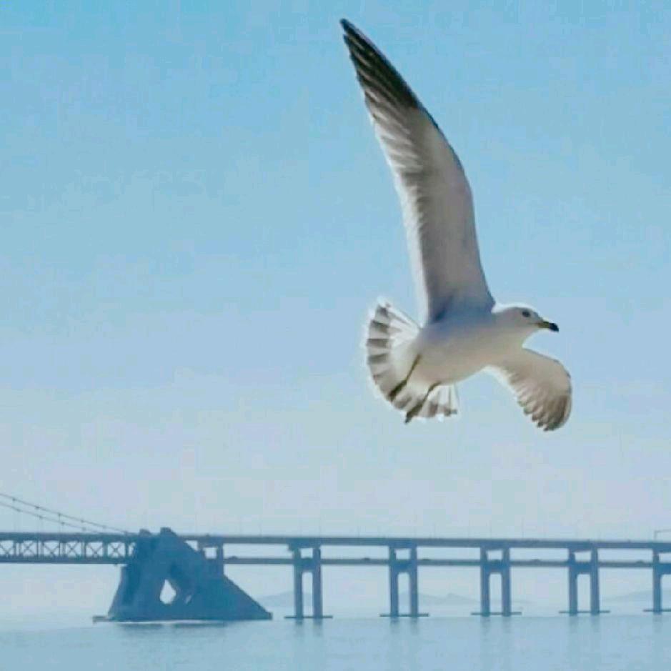 千里之外☀