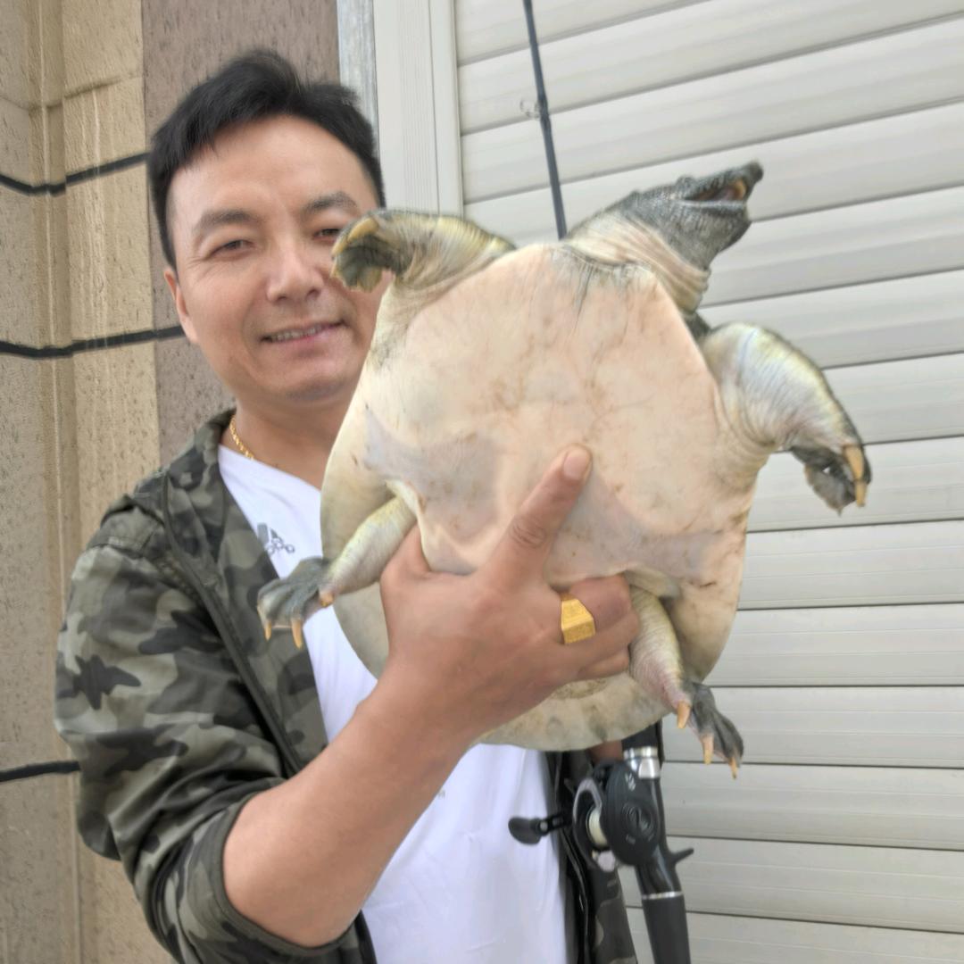 路亚调枪师-小5哥打甲鱼教学