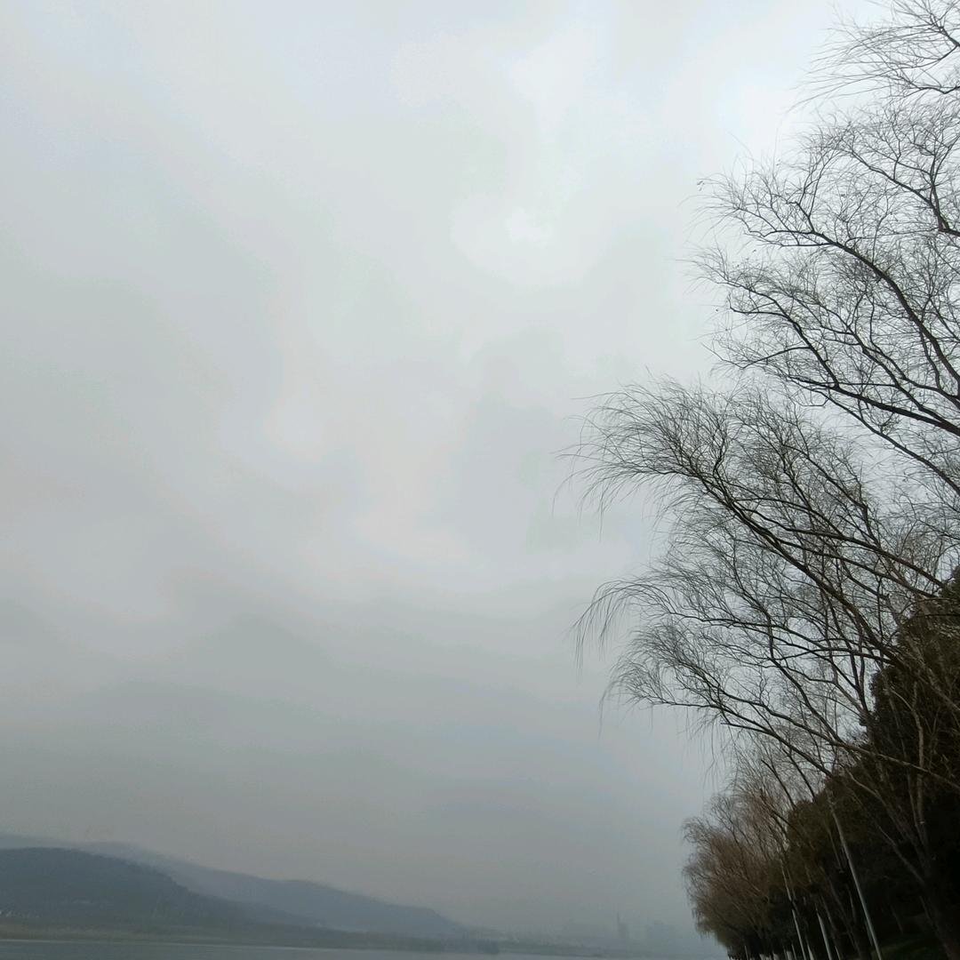 肖