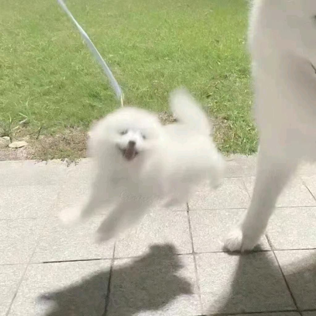 青木木（三角洲行动）