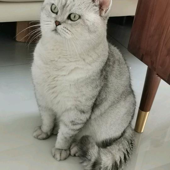 安居