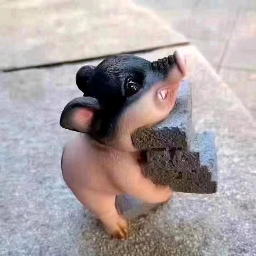 陕西迪鑫诚旺销售   博