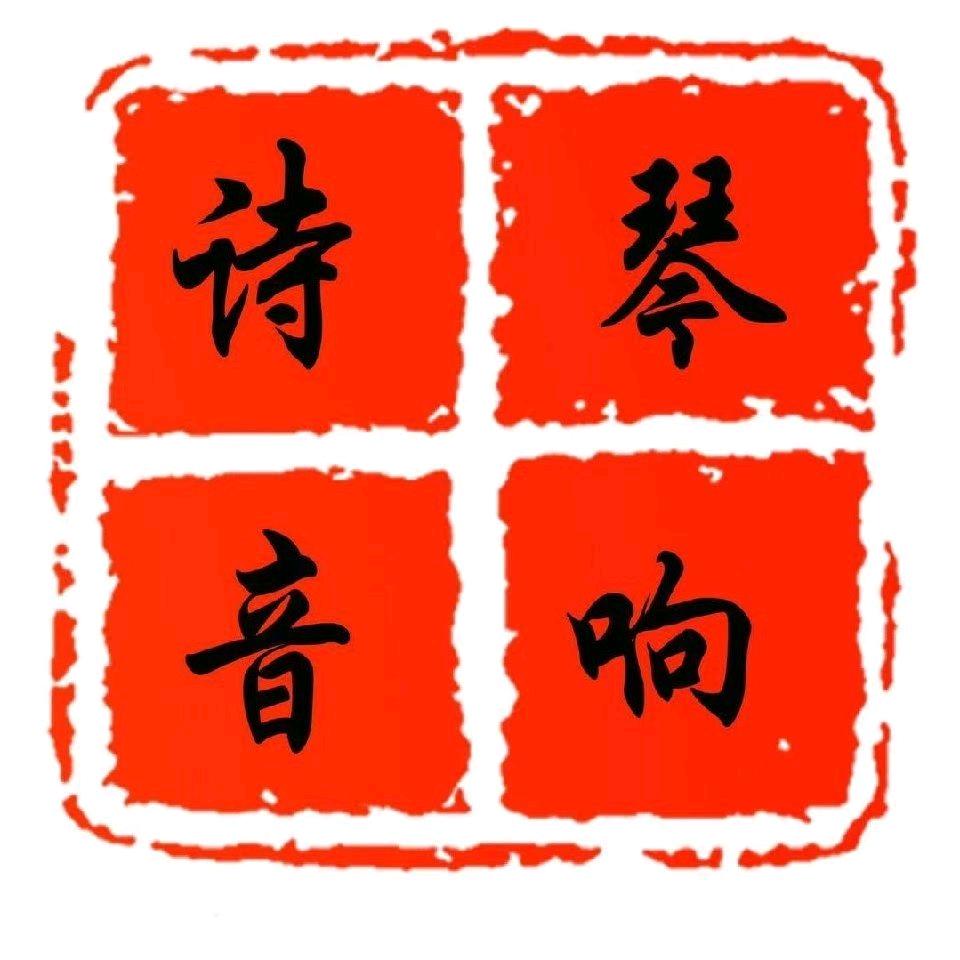 忻城县诗琴汽车音响店