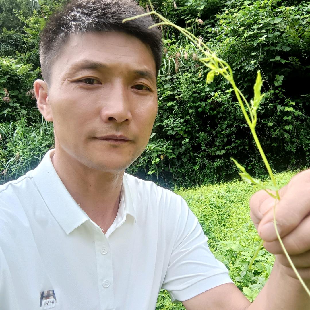 平利茶缘
