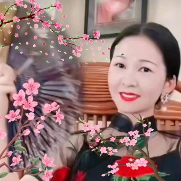 老高