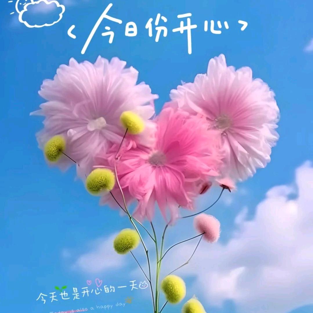 静丽好物