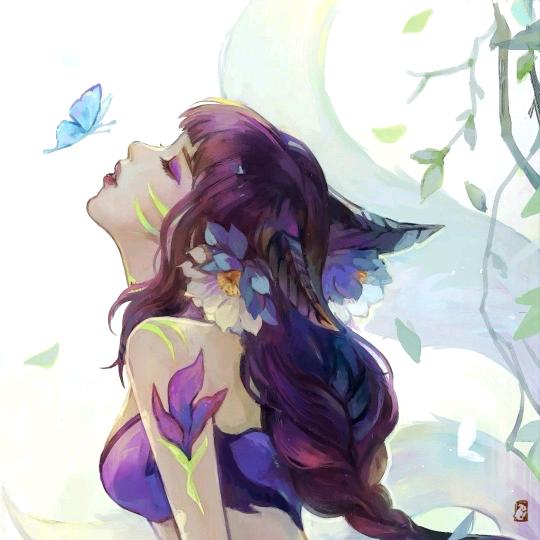 随风阿狸