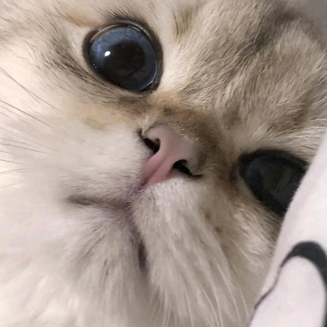 𐇵𝙡̶̶̶𝙤̶̶̶𝙫̶̶̶𝙚̶头像