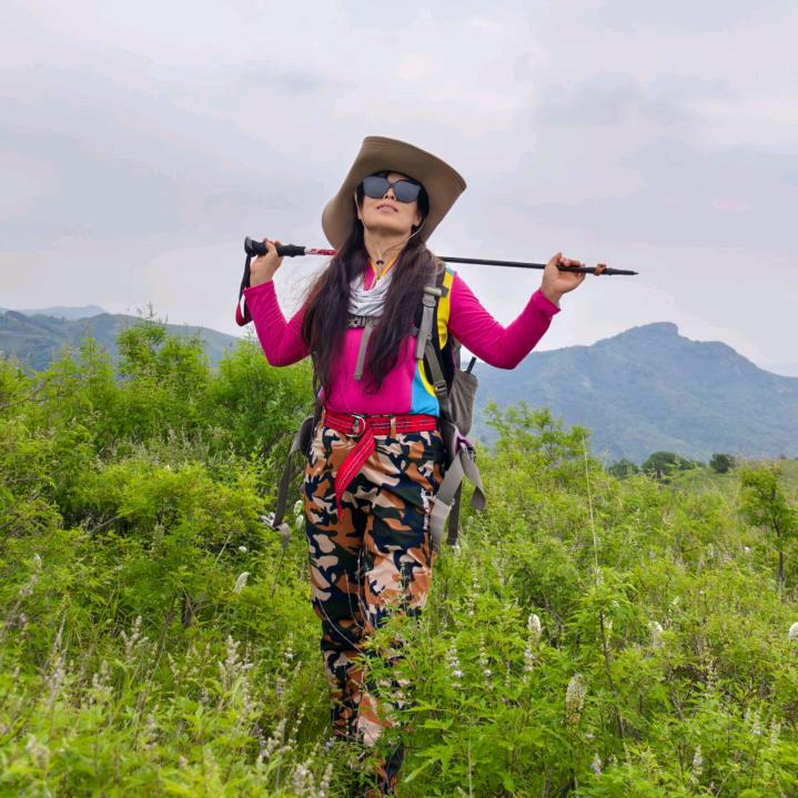 梅与远方