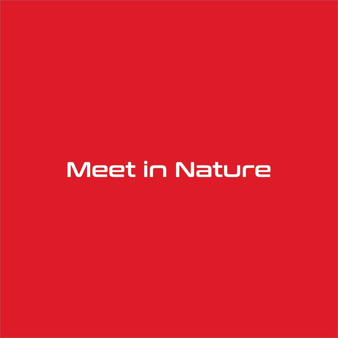 Meet in Nature 谜题