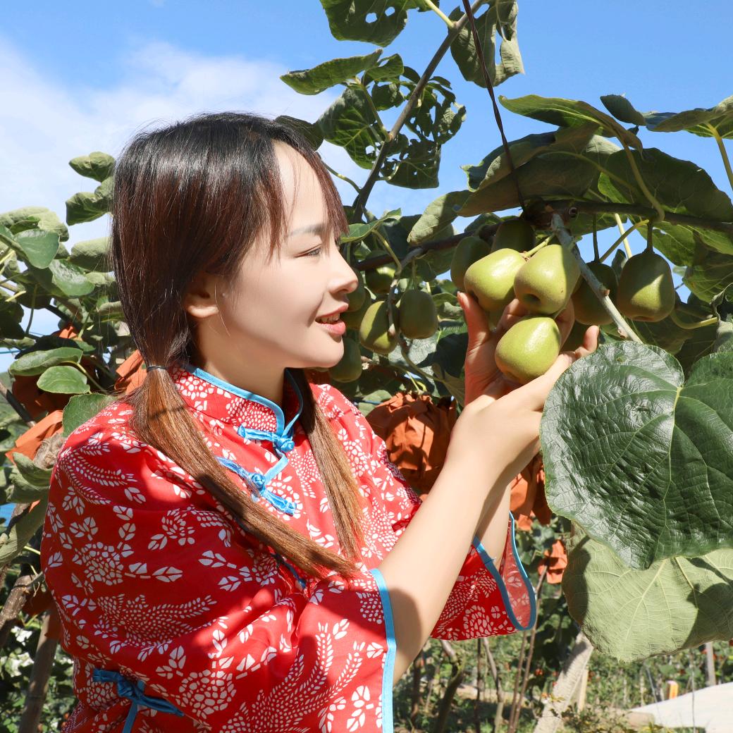 乡村艳姐