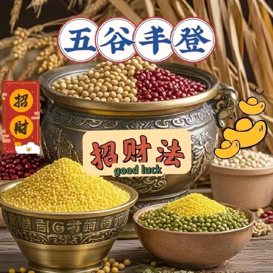 应銑貹