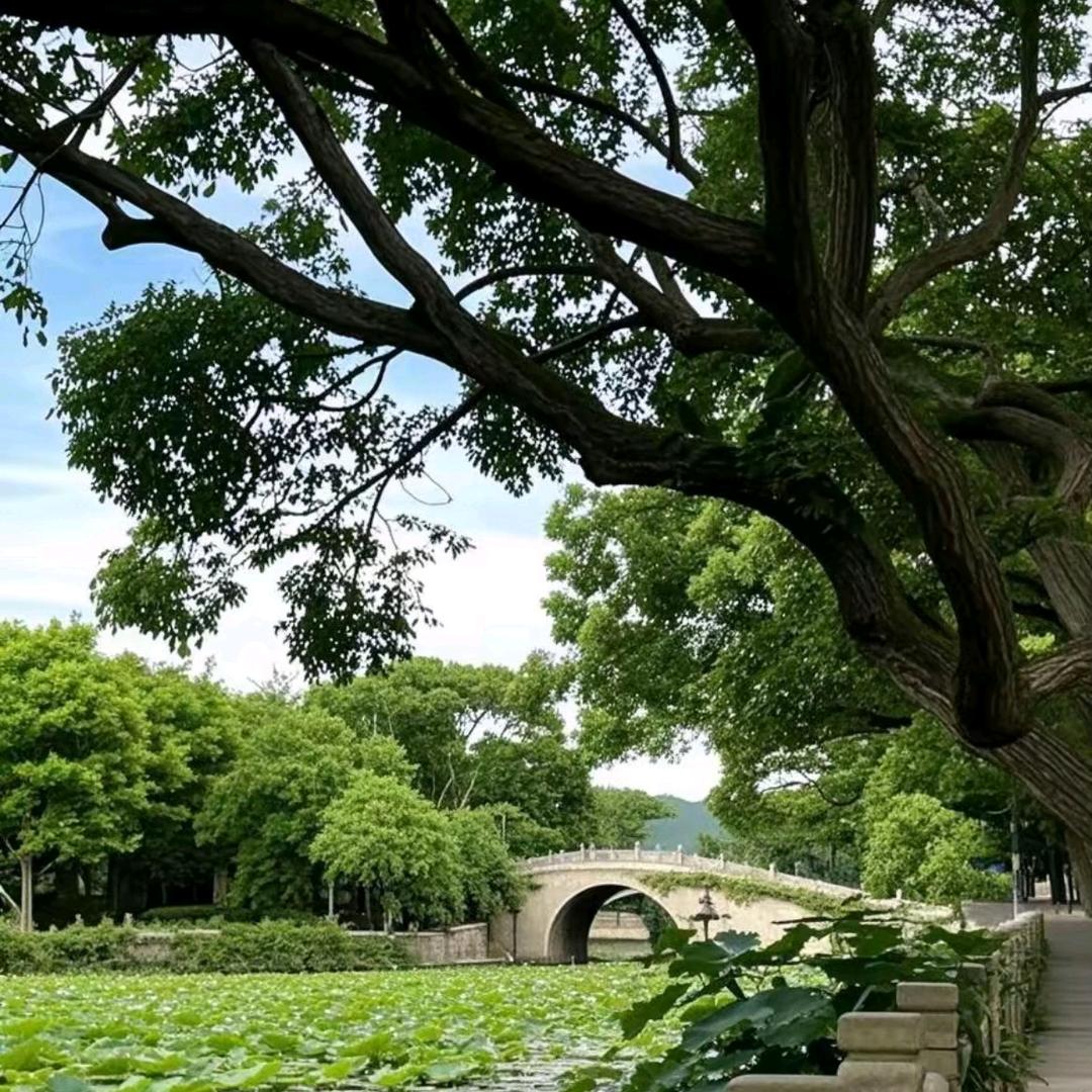 时光无法偷走回忆