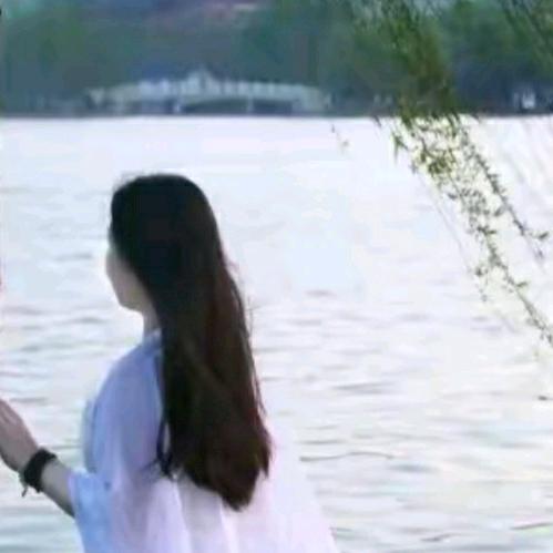 惊鸿~杨家大小姐