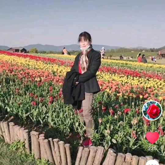 人生赢家