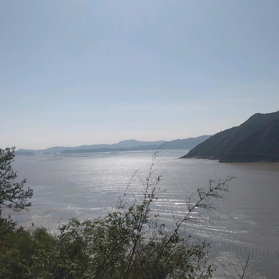欧老板