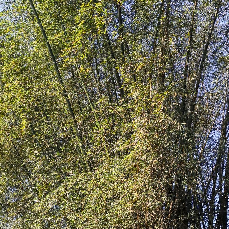 回不去的曾经