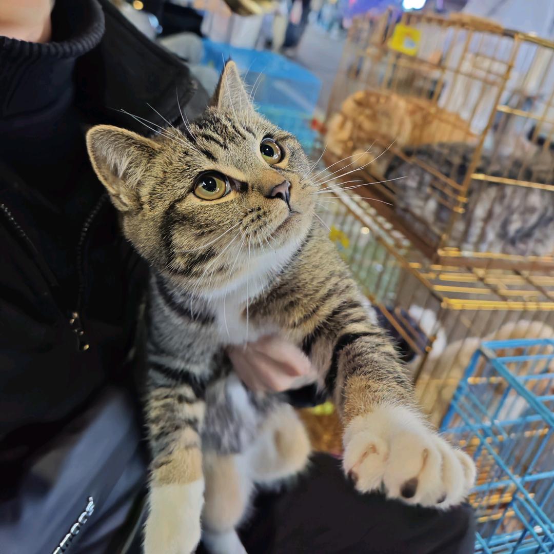 🐱钱女友萌宠🐶