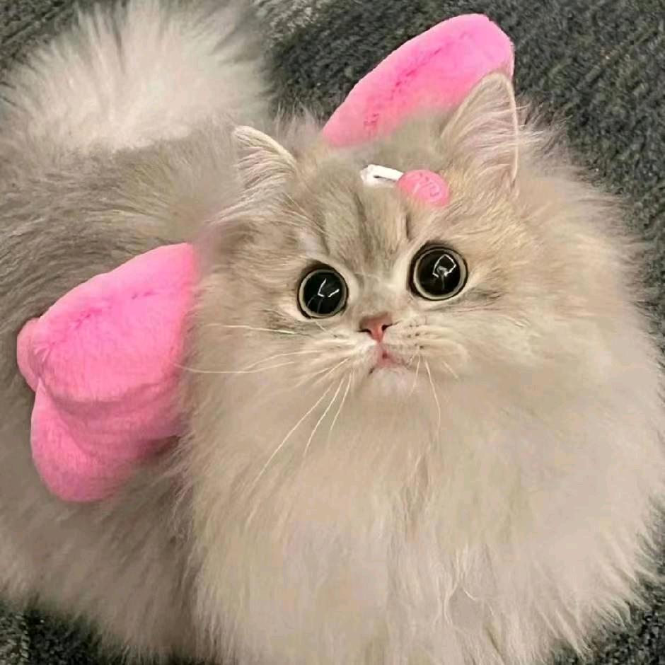 优优ʸᵒᵘ