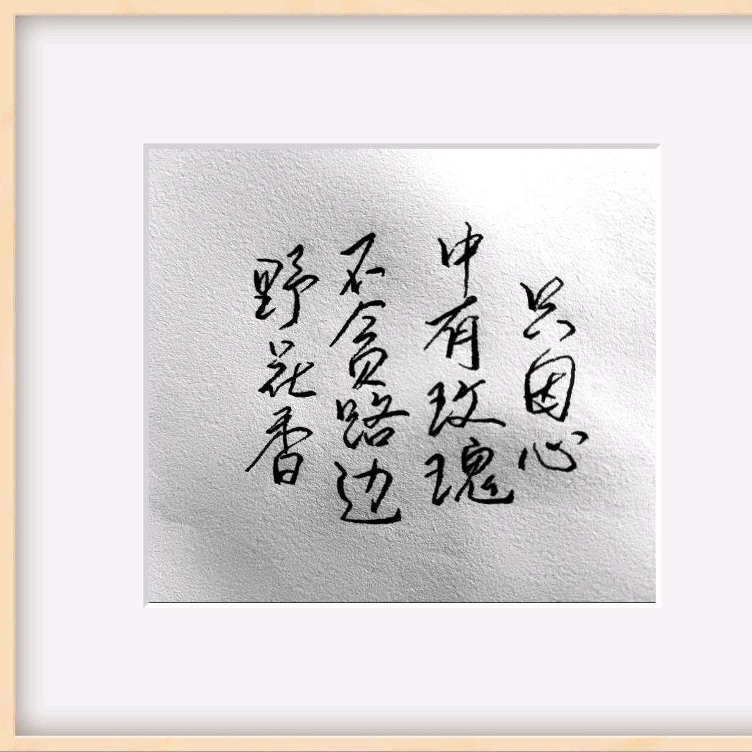 雨泽硬笔