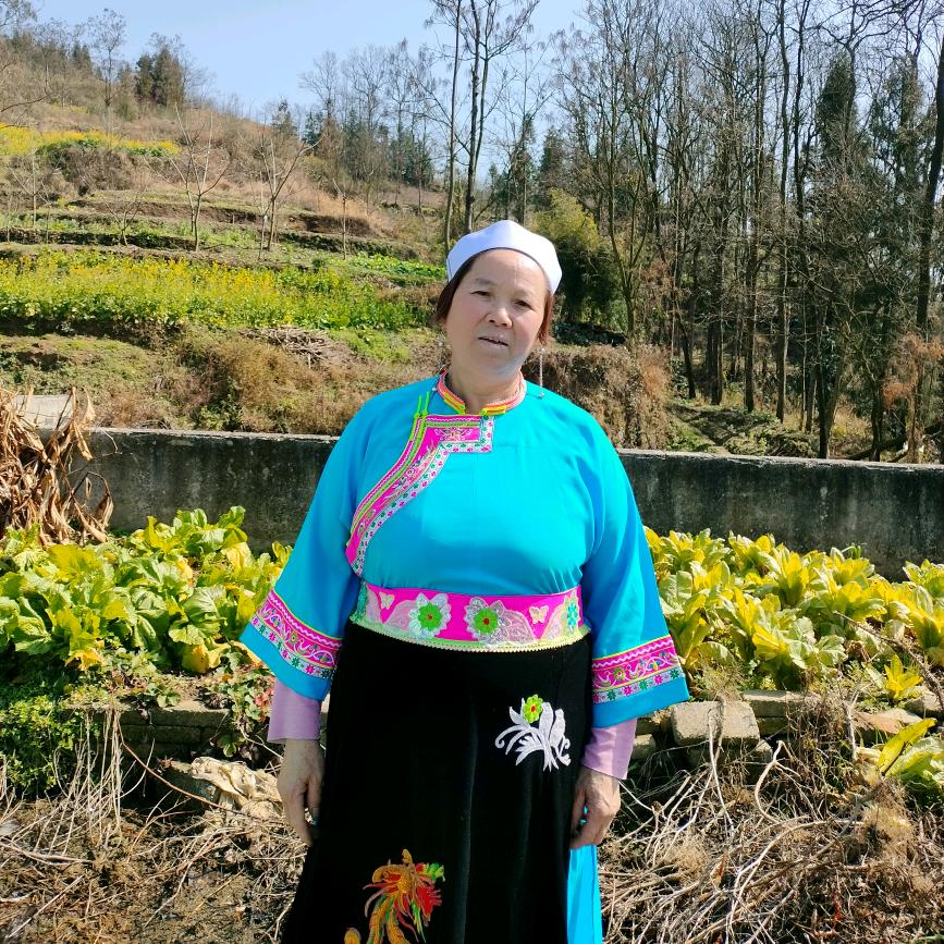 程姨妈