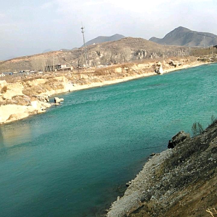桃树基地火热哥