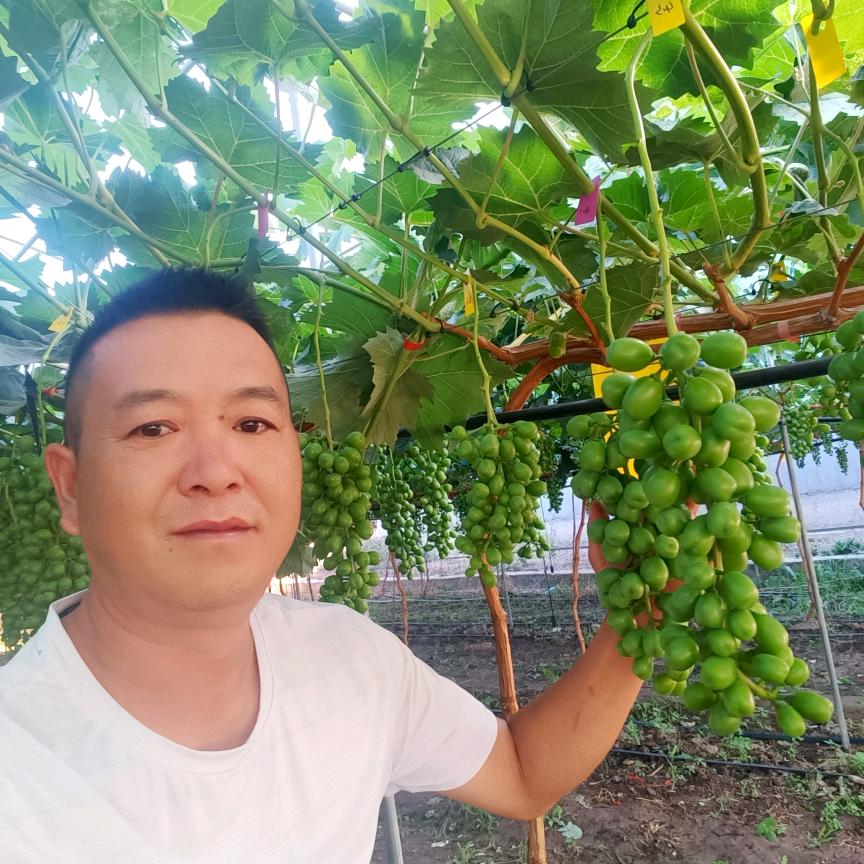 A徐伟农资批发