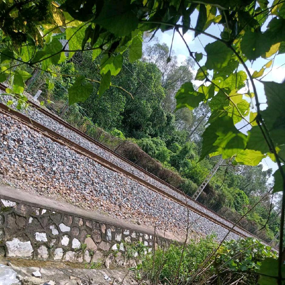 努力，只为遇见更好的自己！