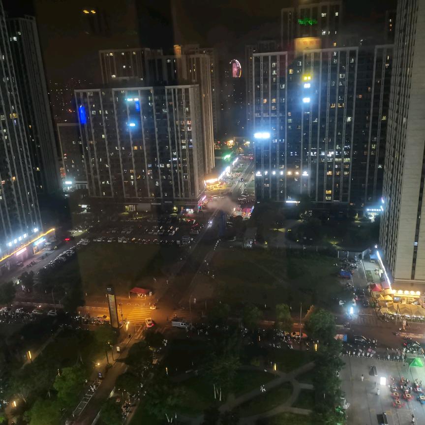 蓝莓果粒